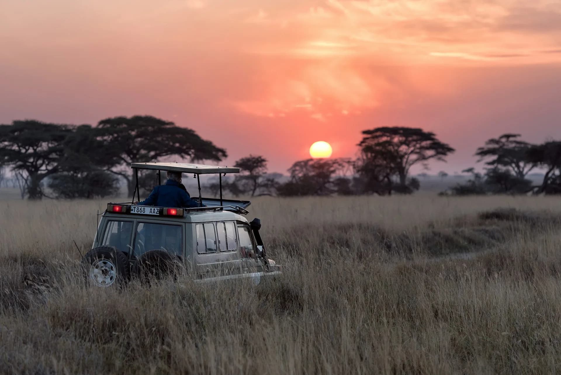 9-Day Great Migration Safari