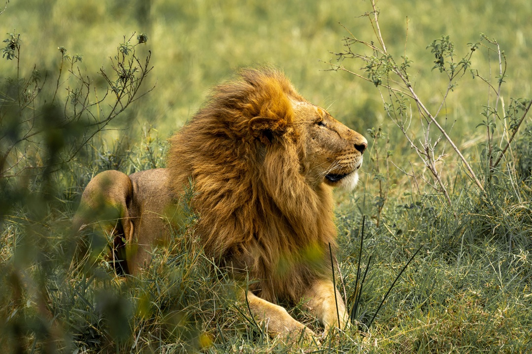 Big Five